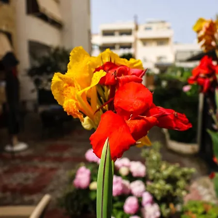 Zhiti 民宿 Durrës