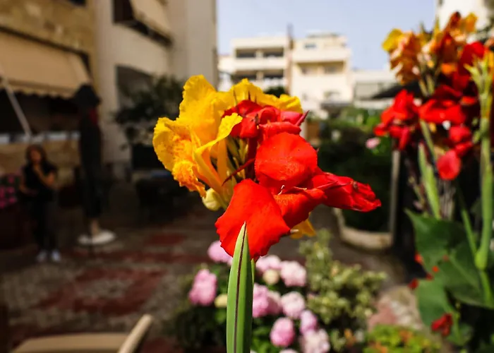 Zhiti 民宿 Durrës