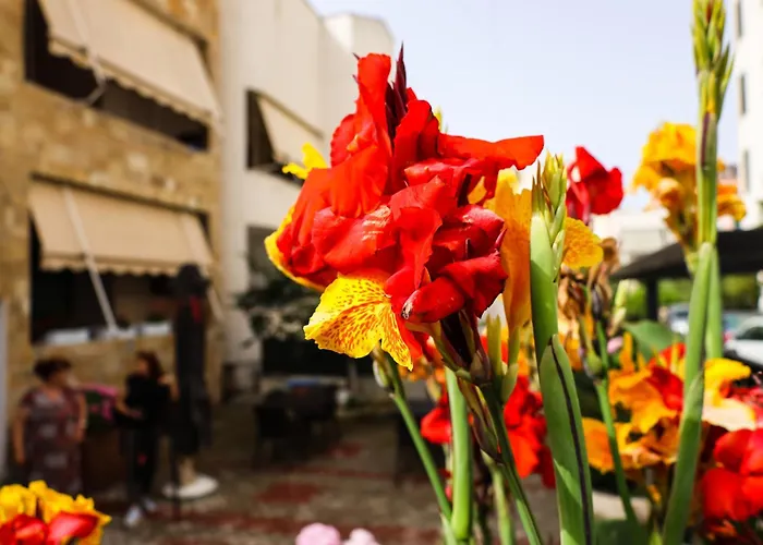 民宿 Zhiti Durrës