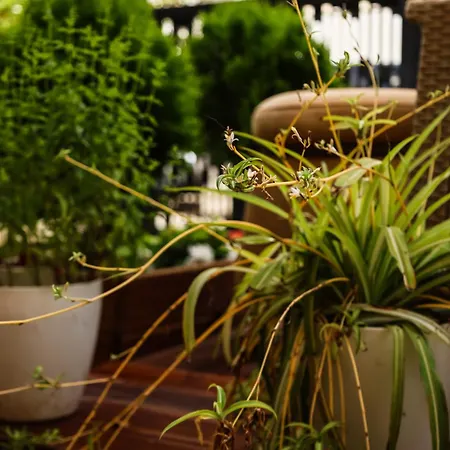 Zhiti Privatunterkunft