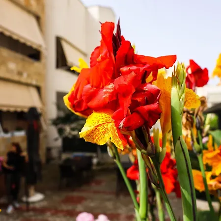 Privatunterkunft Zhiti Durrës