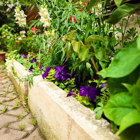 Zhiti Privatunterkunft