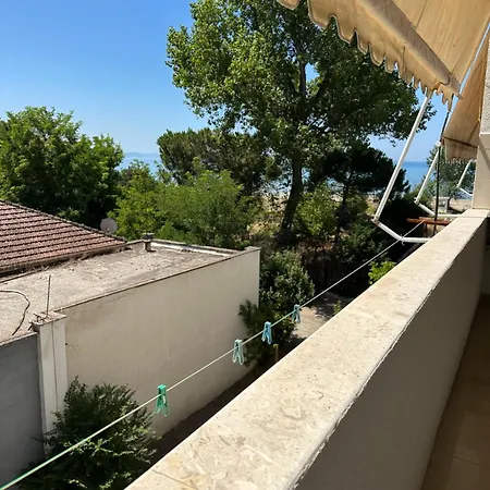 Zhiti